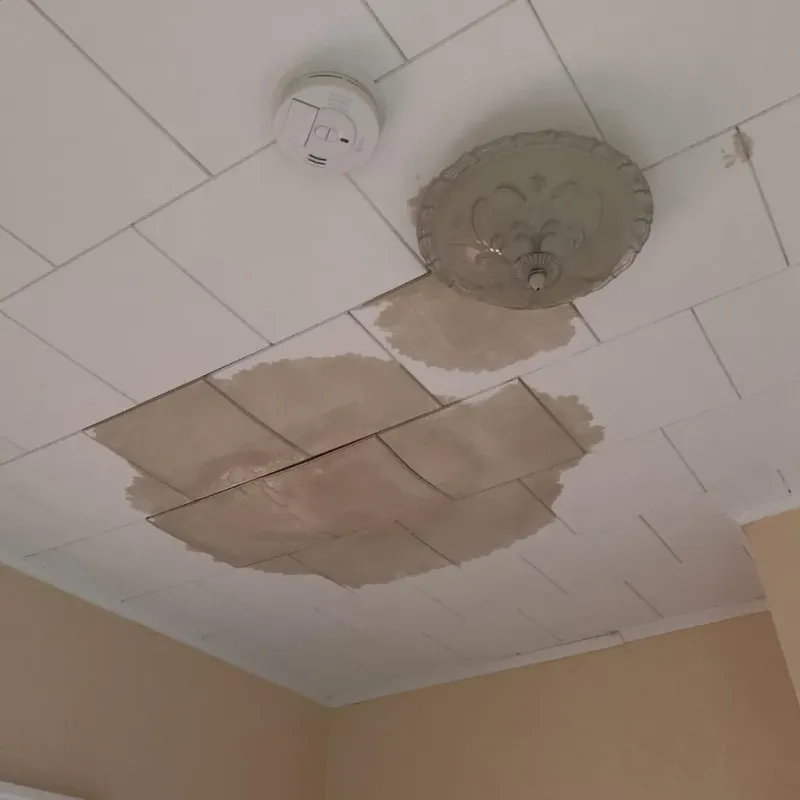 Ceiling Water Damage Repair in Carlisle-Rockledge, AL