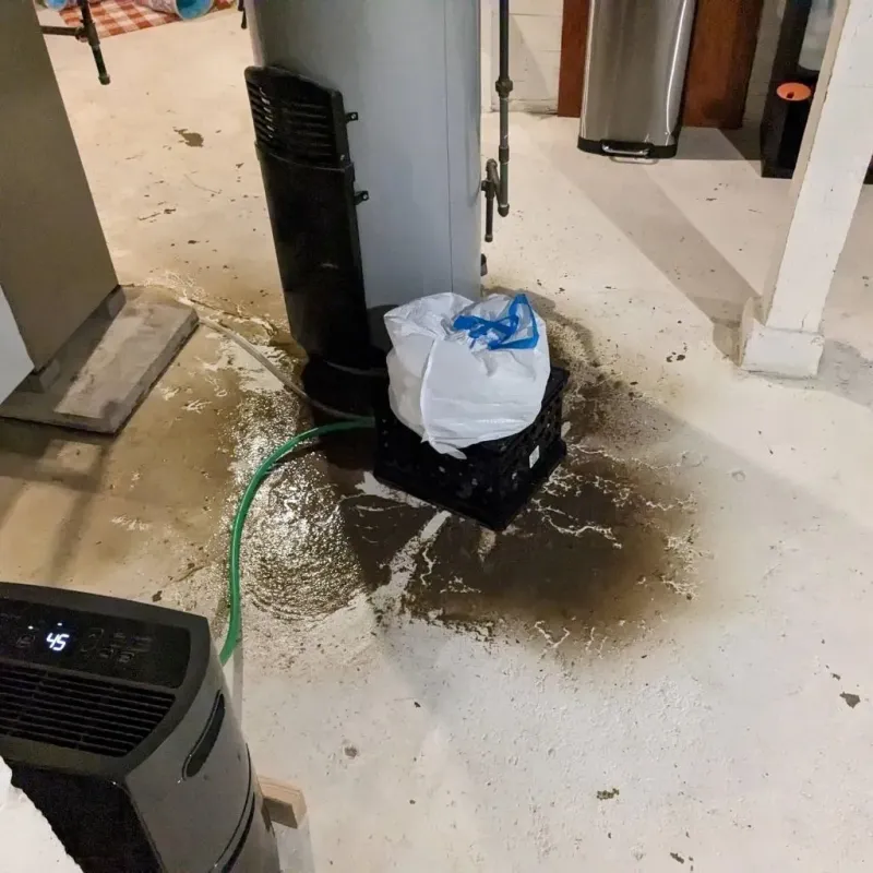 Sewage Backup Cleanup Service in Carlisle-Rockledge, AL